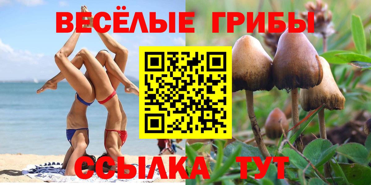 Псилоцибиновые грибы Cubensis Кириши