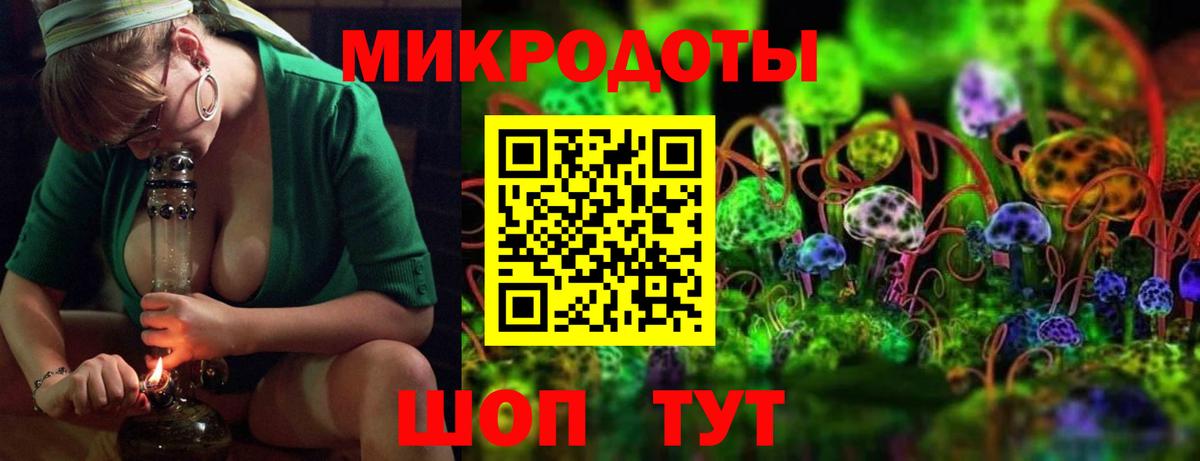 Кириши  Псилоцибиновые грибы GOLDEN TEACHER  Вход с VPN  где найти   Псилоцибиновые грибы GOLDEN TEACHER 